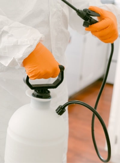 Pestfree Enviro systems staff